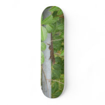 Lizard 468  Skateboard