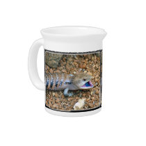 Lizard_Blue_Tongue_12x9 pitchers