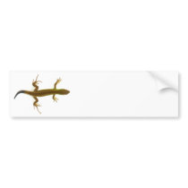 lizard, bumper stickers by mag26s lizard, bumper stickers