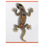 LIZARD FLYERS