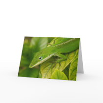 Lizard GC 001 cards by phantompanther Lizard GC 001 cards