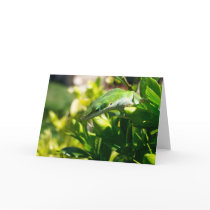 Lizard Greeting Card 002 by phantompanther Lizard Greeting Card 002