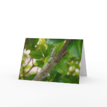 Lizard Greeting Card 003