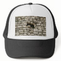 Lizard in a Mayan ruin hats