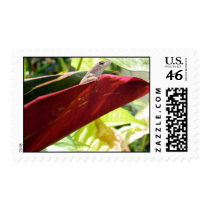 Lizard In Plant postage by BlueBeetleBear Lizard In Plant postage