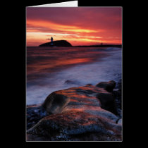 Lizard in the Rocks cards