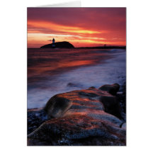 Lizard in the Rocks Greeting Cards