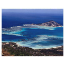 Lizard Island Flyer