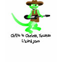 lizard joes Chillin in Chelem, Yucatan t-shirts