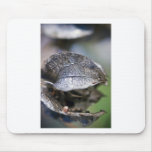 Lizard Leaf Mouse Pad