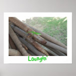 Lizard Loungin' Poster