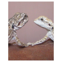 Lizard Love letterhead by sharonsphotography Lizard Love letterhead