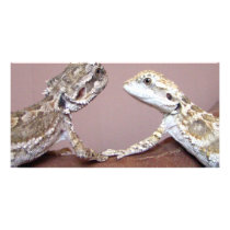 Lizard Love photo cards