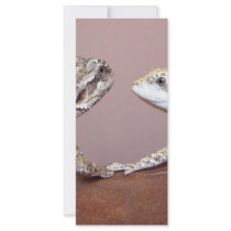 Lizard Love rack cards