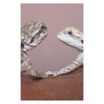 Lizard Love stationery