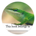 Lizard Lover Book Sticker