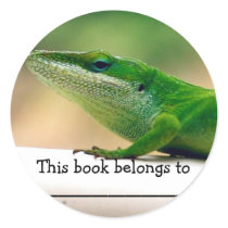 Lizard Lover Book Sticker