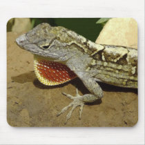 lizard mouse pad mousepads by photobippy lizard mouse pad mousepads
