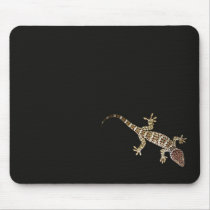 lizard mousepads
