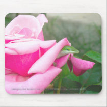 Lizard Mousepad 02