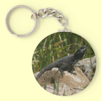 Lizard on a rock keychains