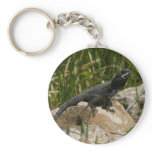 Lizard on a rock keychains