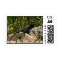 Lizard on a rock postage by Yarijik Lizard on a rock postage