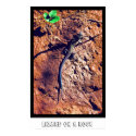 Lizard On A Rock posters by alienmerchant Lizard On A Rock posters