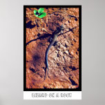Lizard On A Rock posters