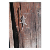 Lizard on Barn Wall cards