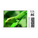 lizard postage by axel82 lizard postage
