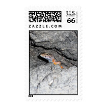 Lizard postage by Anca_pui Lizard postage