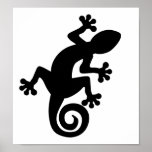 Lizard posters