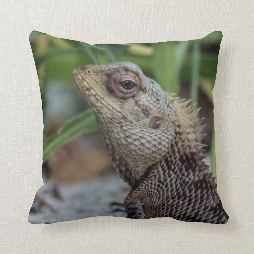 lizard pillow