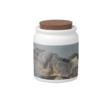 Lizard Rock Candy-Cookie Jar Candy Jar