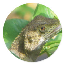 Lizard Saying Hi/ stickers