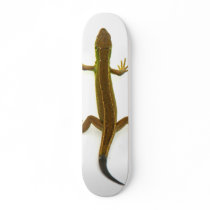 lizard skate deck