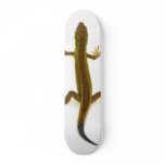 lizard skate deck