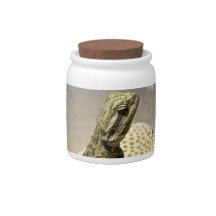 Lizard Species Candy Jar
