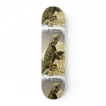 Lizard Species Skateboard