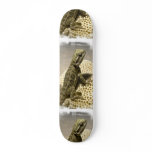 Lizard Species Skateboard