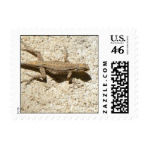 Lizard stamp