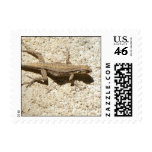 Lizard stamp