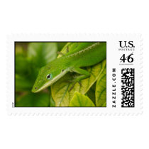 Lizard Stamps 001 by phantompanther Lizard Stamps 001