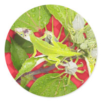Lizard Sticker 1