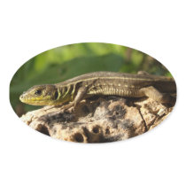 Lizard Stickers stickers