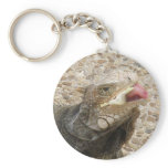 Lizard Tongue Keychain
