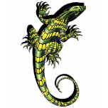 lizard