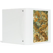 Lizards Vinyl Binders