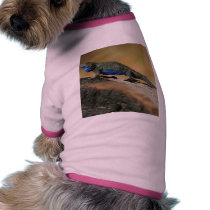 Lizards Blue Belly Scales pet clothing